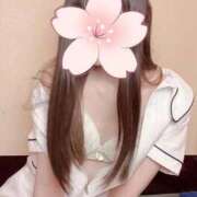 ヒメ日記 2025/09/25 09:43 投稿 さくら 横浜しこたまクリニック