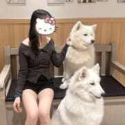 ヒメ日記 2026/02/25 22:34 投稿 つゆ それいけ！ヤリスギ学園～舐めたくてグループ横浜校～