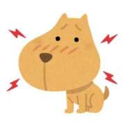 なつみ ごめんなさい💦 OKINI立川