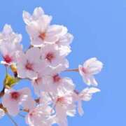 ふたば [お題]from:宴会部長さんに回答〜 丸妻 新横浜店