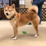 ヒメ日記 2025/05/06 22:57 投稿 みい BITボイン