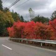 ヒメ日記 2025/11/21 06:44 投稿 しのぶ 人妻本舗愛のしずく名古屋店