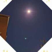 ヒメ日記 2025/11/28 00:44 投稿 しのぶ 人妻本舗愛のしずく名古屋店