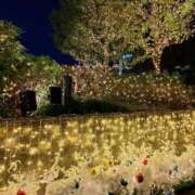 ヒメ日記 2025/12/04 04:12 投稿 しのぶ 人妻本舗愛のしずく名古屋店