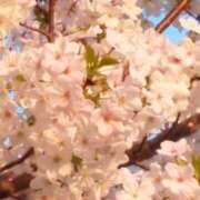 ヒメ日記 2026/01/06 11:34 投稿 しのぶ 人妻本舗愛のしずく名古屋店