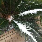 ヒメ日記 2026/02/08 10:05 投稿 しのぶ 人妻本舗愛のしずく名古屋店