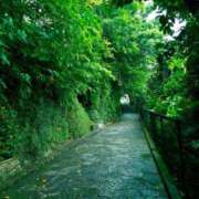 ヒメ日記 2026/02/27 11:39 投稿 しのぶ 人妻本舗愛のしずく名古屋店