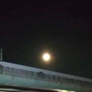 ヒメ日記 2026/04/16 20:30 投稿 しのぶ 人妻本舗愛のしずく名古屋店