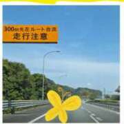 ヒメ日記 2026/04/19 17:23 投稿 しのぶ 人妻本舗愛のしずく名古屋店