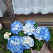 ヒメ日記 2026/05/10 04:35 投稿 しのぶ 人妻本舗愛のしずく名古屋店