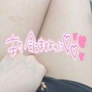 ヒメ日記 2025/04/28 14:47 投稿 蛯名 ゆかり Canx2京都店