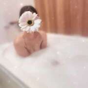 ヒメ日記 2025/05/17 09:29 投稿 未来【ミク】 LOVEキタ兎我野店