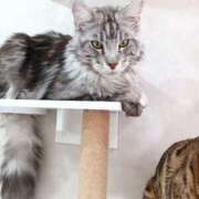 ヒメ日記 2025/05/02 19:35 投稿 大石 名古屋デッドボール