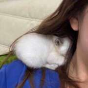 ヒメ日記 2025/08/12 00:10 投稿 ねお★10代の未経験レア素人♥ BUNNY PLAS