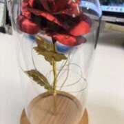 りいな Test 浜松人妻なでしこ(カサブランカグループ)