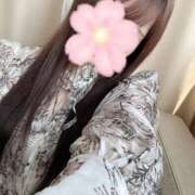 ヒメ日記 2026/04/06 18:29 投稿 桜(さくら) 麗しい人妻 新宿本店