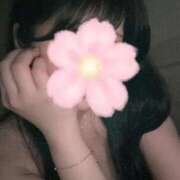 ヒメ日記 2026/04/20 19:49 投稿 桜(さくら) 麗しい人妻 新宿本店