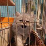 ヒメ日記 2025/06/12 20:18 投稿 西坂(にしざか) 熟女出逢い会『百合の園』目黒店