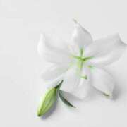 ヒメ日記 2025/08/06 17:28 投稿 西坂(にしざか) 熟女出逢い会『百合の園』目黒店