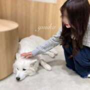 ヒメ日記 2025/07/24 19:58 投稿 ゆうか LOVE横浜店(Iグループ)