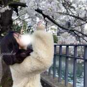 ヒメ日記 2026/03/23 13:38 投稿 ゆうか LOVE横浜店(Iグループ)