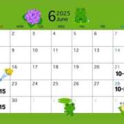 ヒメ日記 2025/06/11 23:23 投稿 ミクル MEGA PALACE(メガパレス）