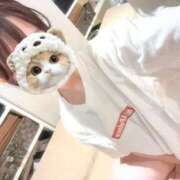 ヒメ日記 2025/11/16 14:23 投稿 ミクル MEGA PALACE(メガパレス）