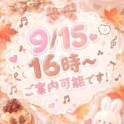 ヒメ日記 2026/09/14 19:51 投稿 ミクル MEGA PALACE(メガパレス）