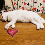 ヒメ日記 2025/05/27 23:38 投稿 水原 美琴 こあくまな熟女たち太田店（KOAKUMAグループ）