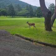 ヒメ日記 2026/06/26 09:16 投稿 希咲由真 ハールブルク