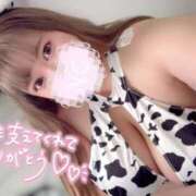 ヒメ日記 2025/10/01 14:09 投稿 不破 BBW（ビッグビューティフルウーマン）