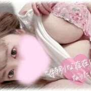 ヒメ日記 2025/11/23 12:23 投稿 不破 BBW（ビッグビューティフルウーマン）