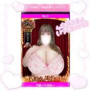 ヒメ日記 2025/12/03 16:47 投稿 不破 BBW（ビッグビューティフルウーマン）