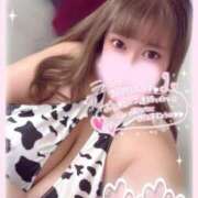 ヒメ日記 2026/01/30 12:49 投稿 不破 BBW（ビッグビューティフルウーマン）