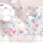 ヒメ日記 2026/03/13 11:09 投稿 不破 BBW（ビッグビューティフルウーマン）