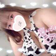 ヒメ日記 2026/03/14 19:09 投稿 不破 BBW（ビッグビューティフルウーマン）