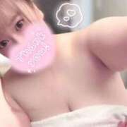 ヒメ日記 2026/04/03 03:09 投稿 不破 BBW（ビッグビューティフルウーマン）