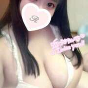 ヒメ日記 2026/04/23 12:12 投稿 不破 BBW（ビッグビューティフルウーマン）