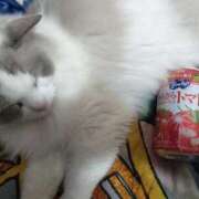 みなと トマトジュース。 エマニエル