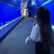 ヒメ日記 2025/07/20 13:00 投稿 ゆうひ アリスカフェ