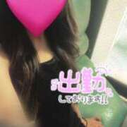 ヒメ日記 2026/02/22 16:16 投稿 ゆうひ アリスカフェ