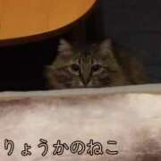 ヒメ日記 2025/05/09 12:08 投稿 涼花(りょうか) 人妻出逢い会 百合の園 山の手本店