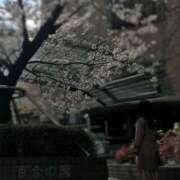 ヒメ日記 2026/03/20 08:22 投稿 涼花(りょうか) 人妻出逢い会 百合の園 山の手本店