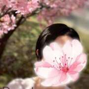 ヒメ日記 2026/03/22 12:47 投稿 涼花(りょうか) 人妻出逢い会 百合の園 山の手本店