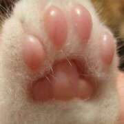 ヒメ日記 2025/08/12 17:03 投稿 優美 モアグループ所沢人妻城