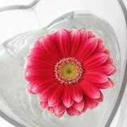 ヒメ日記 2025/08/23 11:33 投稿 じゅんな 待ちナビ