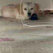 ヒメ日記 2025/05/22 09:34 投稿 りら（新人割引5/2まで） ウルトラグレイス24