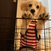 ヒメ日記 2025/06/07 08:50 投稿 りら（新人割引5/2まで） ウルトラグレイス24