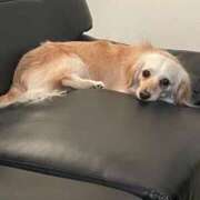 ヒメ日記 2025/07/23 09:10 投稿 りら（新人割引5/2まで） ウルトラグレイス24