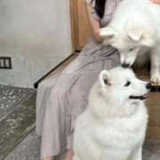 ヒメ日記 2025/09/29 00:04 投稿 りら（新人割引5/2まで） ウルトラグレイス24